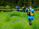 Bear viewing in the Great Bear Rainforest